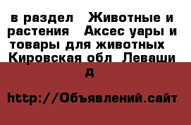  в раздел : Животные и растения » Аксесcуары и товары для животных . Кировская обл.,Леваши д.